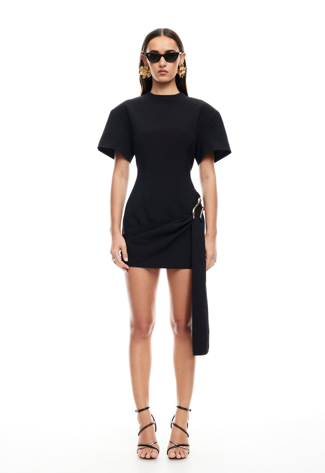 Viral Lioness Dress