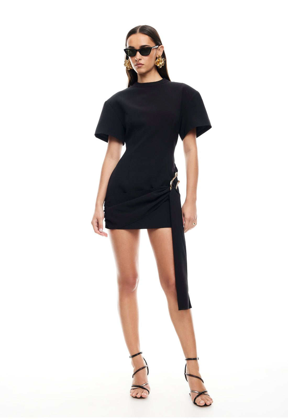 Viral Lioness Dress